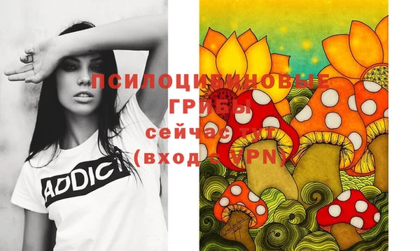 прущая мука Арсеньев