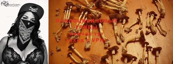 прущая мука Арсеньев