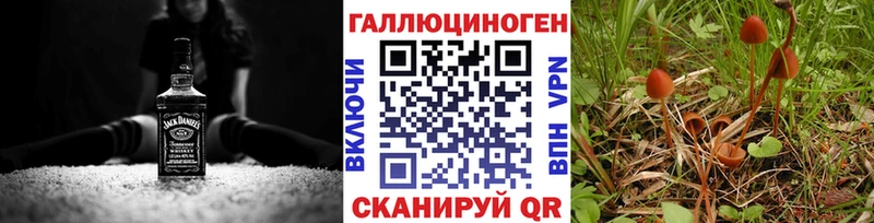 дарнет шоп omg ONION Галлюциногенные грибы прущие грибы Оханск